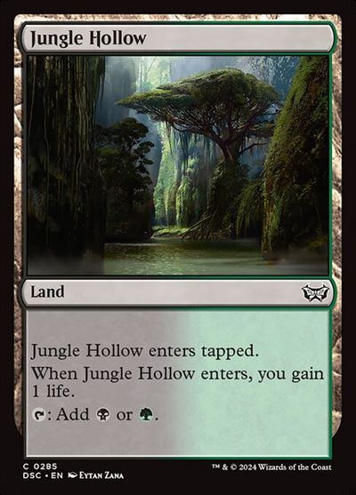 (DSC)Jungle Hollow(0285)/ジャングルのうろ穴