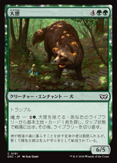 (DSC)大狸(0181)/GREATER TANUKI