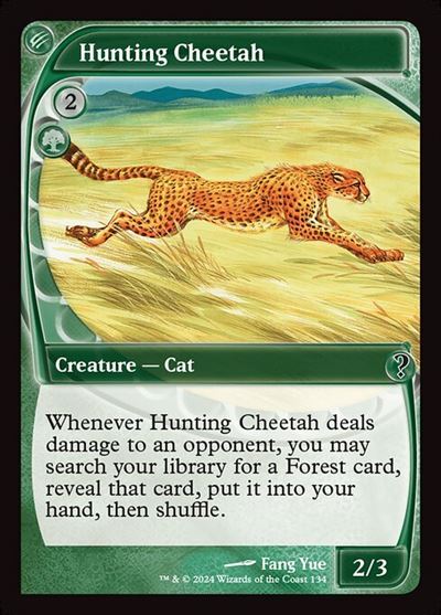 (MB2)Hunting Cheetah(0134)(未来枠)/狩りをする豹