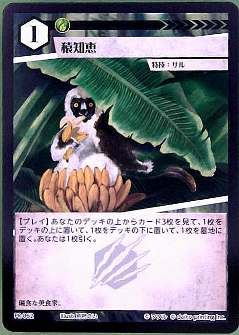 商品検索 | ドラゴンスター | アニマルカードゲーム