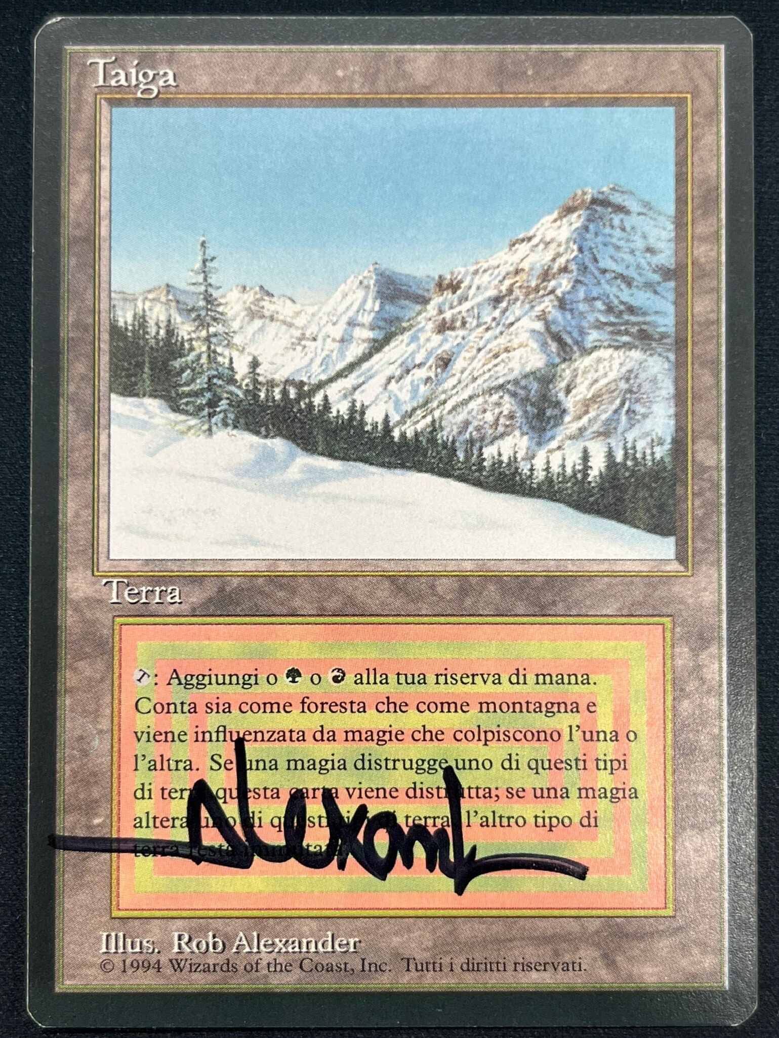 高額商品 商品検索 | ドラゴンスター | マジック：ザ・ギャザリング MTG