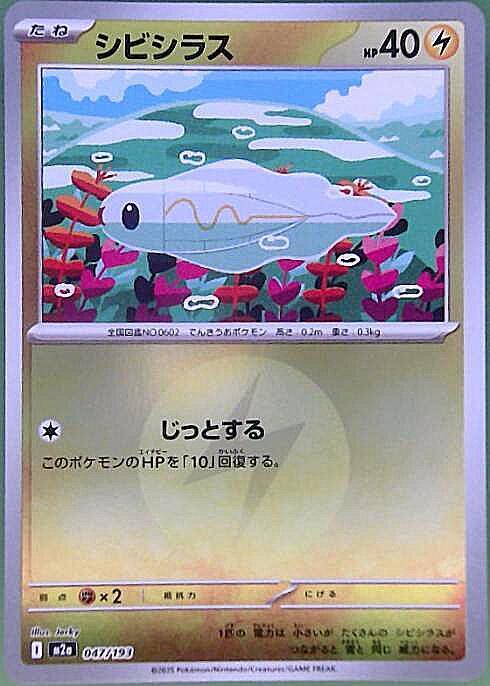 JINS 株主優待　9000円分　ポケモンカードシビシラス シビシラス | ポケモンカードゲーム公式ホームページ