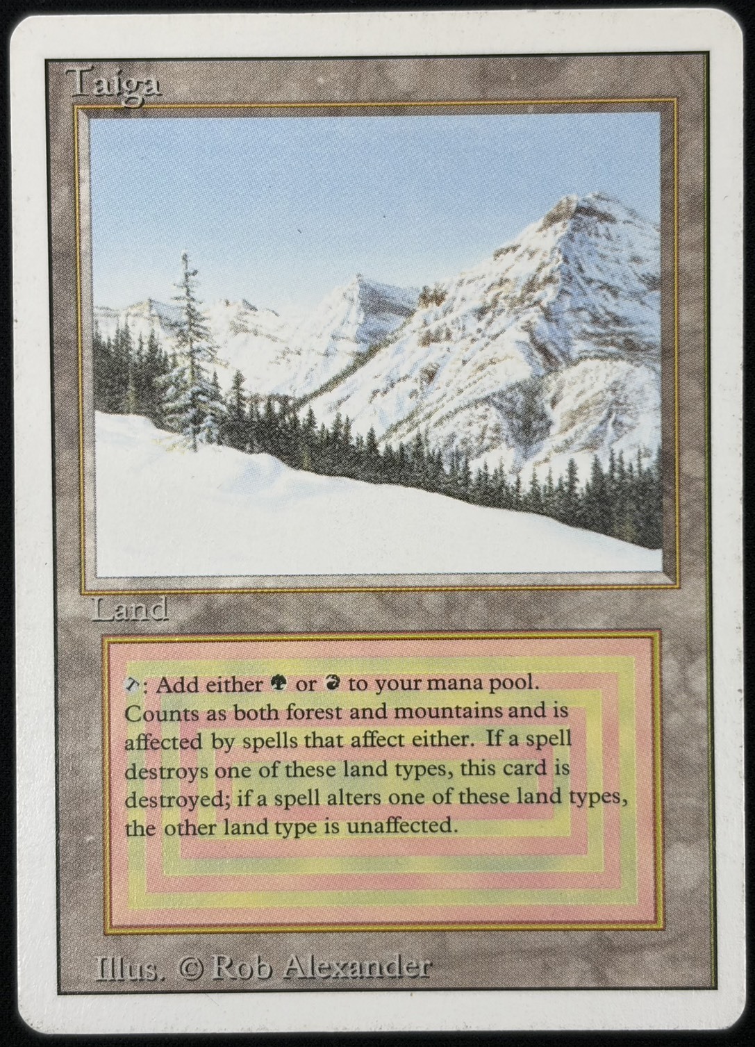 マジック：ザ・ギャザリング MTG Taiga HP 3ED)Taiga(MP)(EN)/(未訳) | 未登録 | ドラゴンスター | マジック：ザ