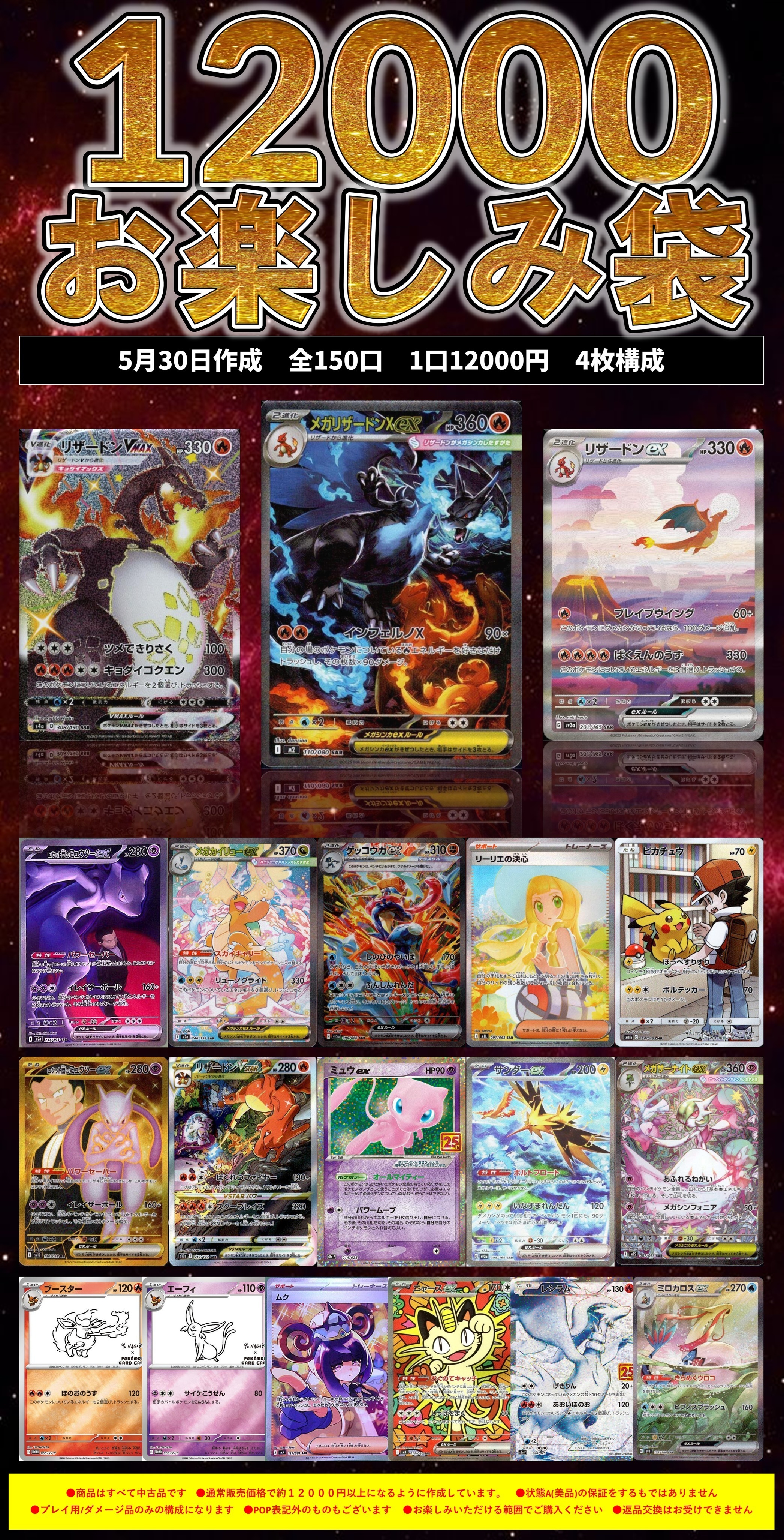再来！リザードン祭り！】12000円お楽しみ袋 | 未登録 | ドラゴン