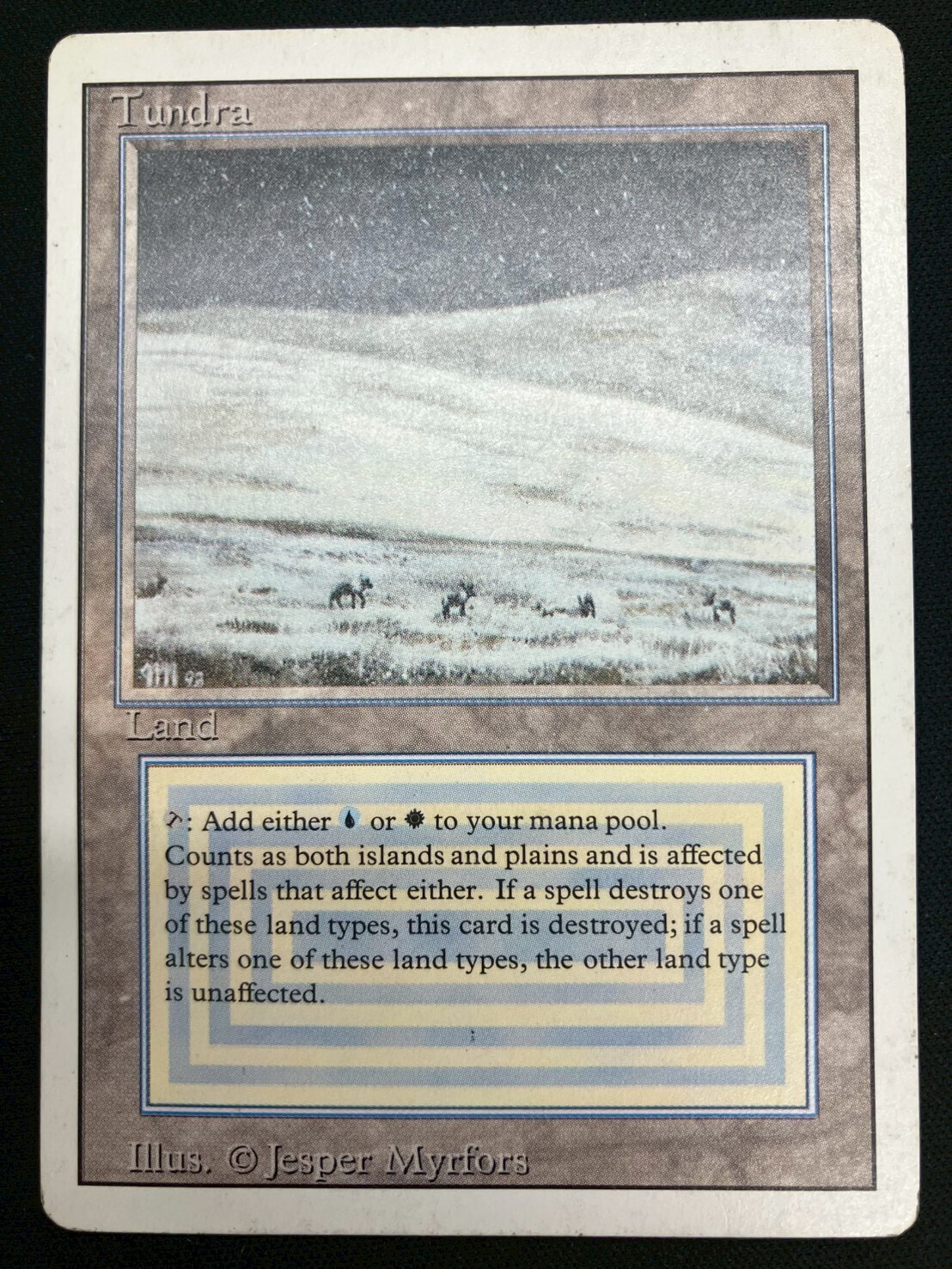 マジック：ザ・ギャザリング MTG Tundra HP 3ED)Tundra(HP-)(EN)/(未訳) | 未登録 | ドラゴンスター | マジック