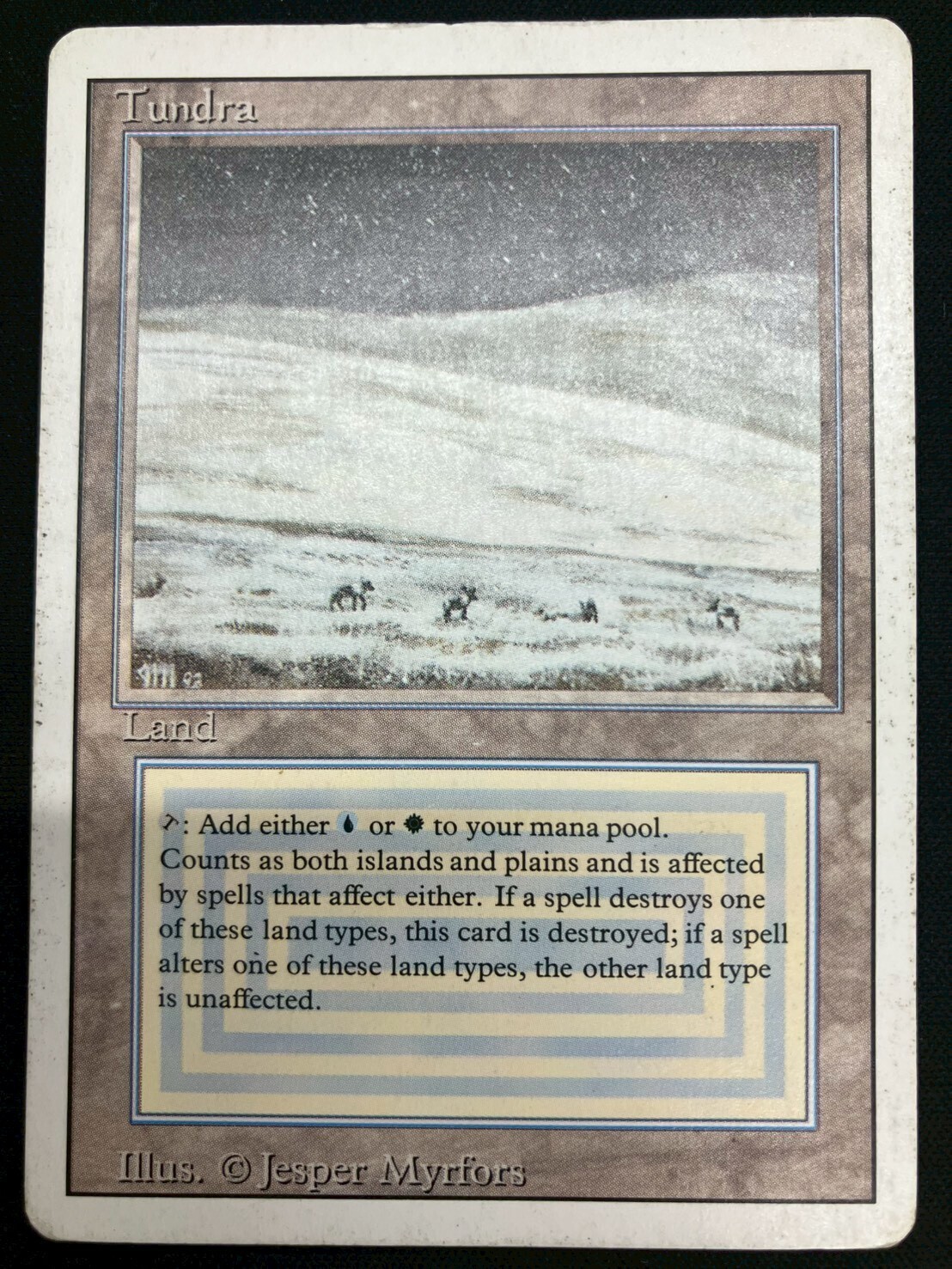MTG Tundra HP 英語 3ED)Tundra(HP-)(EN)/(未訳) | 未登録 | ドラゴンスター | マジック