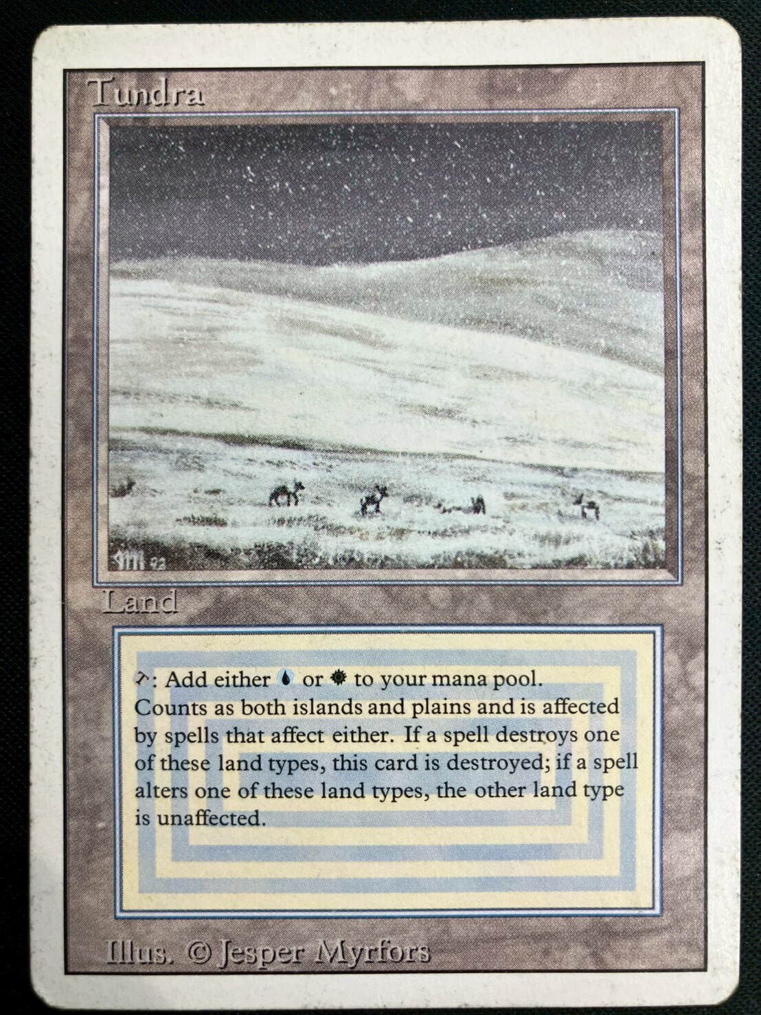 3ED)Tundra(HP)(EN)/(未訳) | 未登録 | ドラゴンスター | マジック：ザ