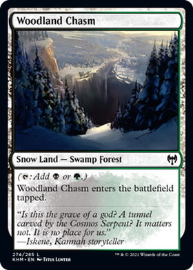 (KHM)Woodland Chasm(F)/森林の地割れ