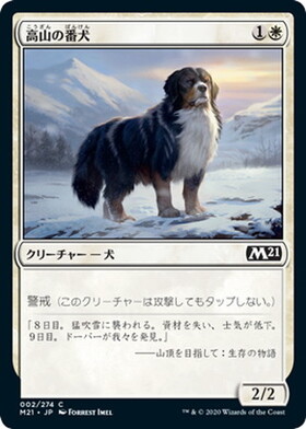 (M21)高山の番犬(F)/ALPINE WATCHDOG