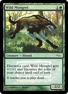 (FNM)Wild Mongrel(DCI)(F)/野生の雑種犬