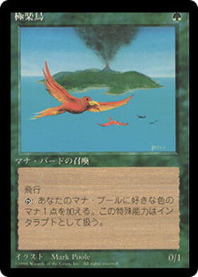 (4ED)極楽鳥(黒枠)(96年)/BIRDS OF PARADISE