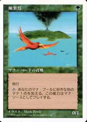(5ED)極楽鳥(97年)/BIRDS OF PARADISE