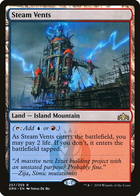 (GRN)Steam Vents/蒸気孔