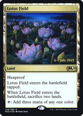 (M20)Lotus Field(日付入)(F)/睡蓮の原野
