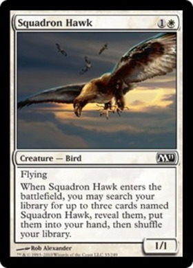 (M11)Squadron Hawk/戦隊の鷹
