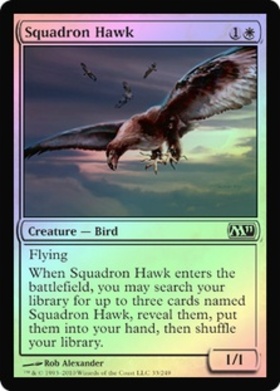 (M11)Squadron Hawk(F)/戦隊の鷹