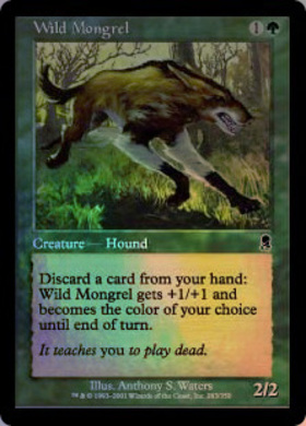 (ODY)Wild Mongrel(F)/野生の雑種犬