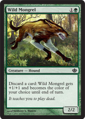 (DDD)Wild Mongrel/野生の雑種犬