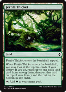 (BFZ)Fertile Thicket/肥沃な茂み
