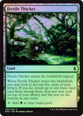 (BFZ)Fertile Thicket(F)/肥沃な茂み