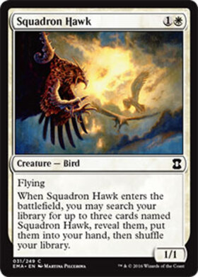 (EMA)Squadron Hawk/戦隊の鷹