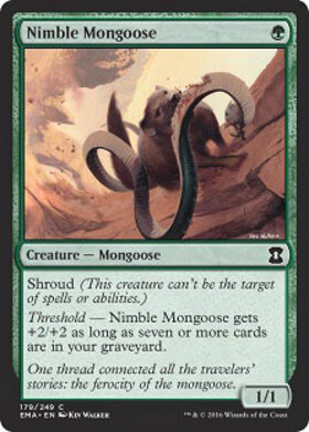 (EMA)Nimble Mongoose/敏捷なマングース
