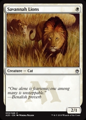(A25)Savannah Lions/サバンナ・ライオン