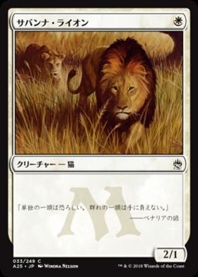 (A25)サバンナ・ライオン/SAVANNAH LIONS