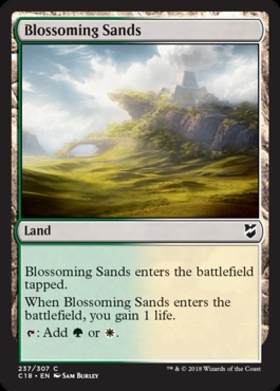 (C18)Blossoming Sands/花咲く砂地