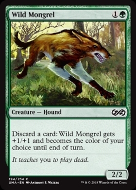 (UMA)Wild Mongrel/野生の雑種犬