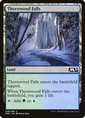 (M20)Thornwood Falls(F)/茨森の滝