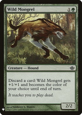 (MB1)Wild Mongrel/野生の雑種犬