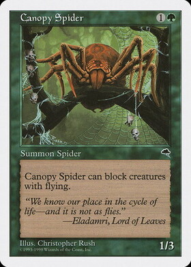 (ATH)Canopy Spider(白枠93-98年)/梢の蜘蛛