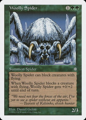 (ATH)Woolly Spider(白枠93-98年)/(未訳)