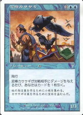 (7ED)泥棒カササギ/THIEVING MAGPIE