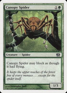 (8ED)Canopy Spider/梢の蜘蛛