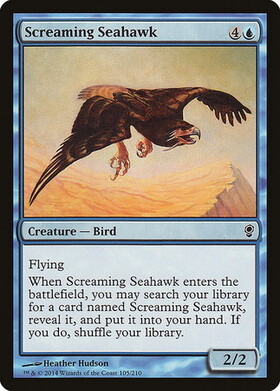 (CNS)Screaming Seahawk/鳴き叫ぶウミタカ