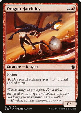 (BBD)Dragon Hatchling/ドラゴンの雛