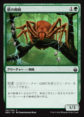 (BBD)梢の蜘蛛/CANOPY SPIDER