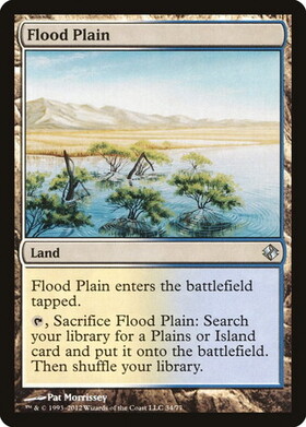 (DDI)Flood Plain/氾濫原