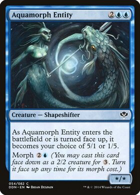 (DDN)Aquamorph Entity/水変化の精体