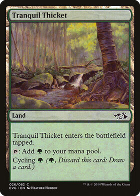 (EVG)Tranquil Thicket(2014年)/平穏な茂み