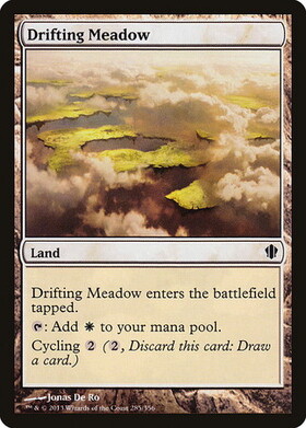 (C13)Drifting Meadow/漂う牧草地
