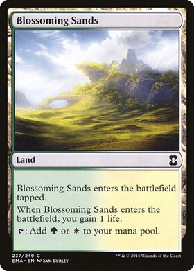 (EMA)Blossoming Sands/花咲く砂地