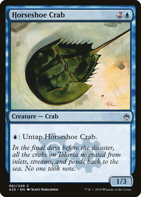 (A25)Horseshoe Crab/カブトガニ