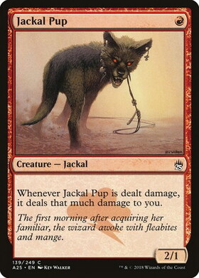 (A25)Jackal Pup/ジャッカルの仔
