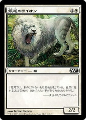 (M11)銀毛のライオン(F)/SILVERCOAT LION