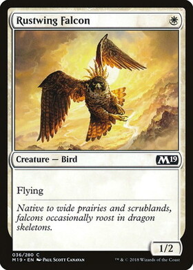 (M19)Rustwing Falcon/錆色翼の隼