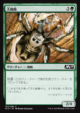 (M19)大蜘蛛(F)/GIANT SPIDER