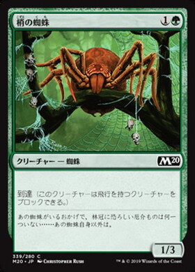 (M20)梢の蜘蛛/CANOPY SPIDER